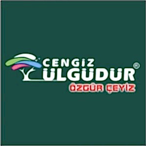 İzmir gergi tavan